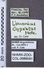 Etiketten zu Gambrinus clypeatus (NHMW-ZOO-COL-0008581)